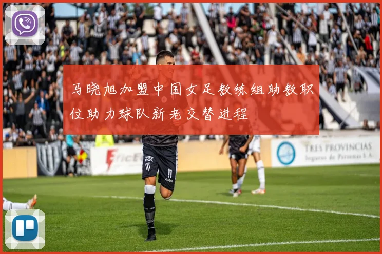 马晓旭加盟中国女足教练组助教职位助力球队新老交替进程