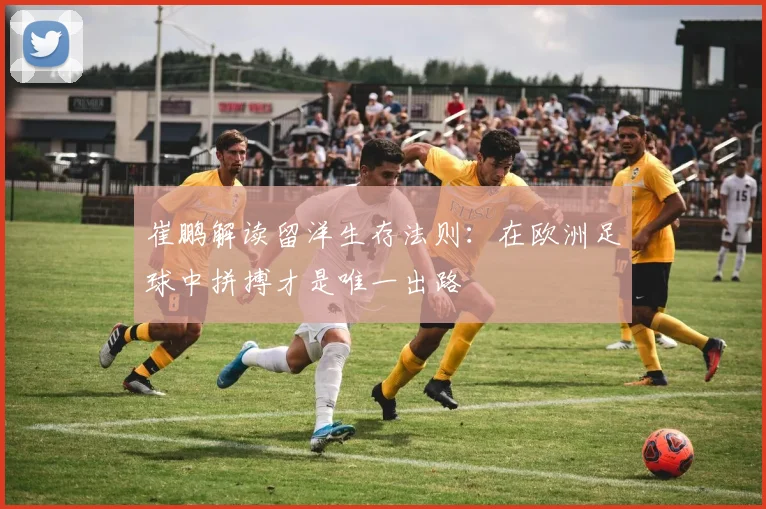 崔鹏解读留洋生存法则：在欧洲足球中拼搏才是唯一出路