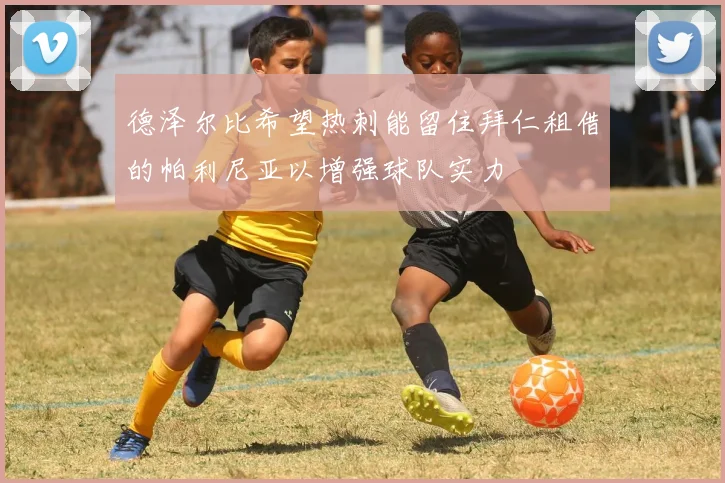 德泽尔比希望热刺能留住拜仁租借的帕利尼亚以增强球队实力
