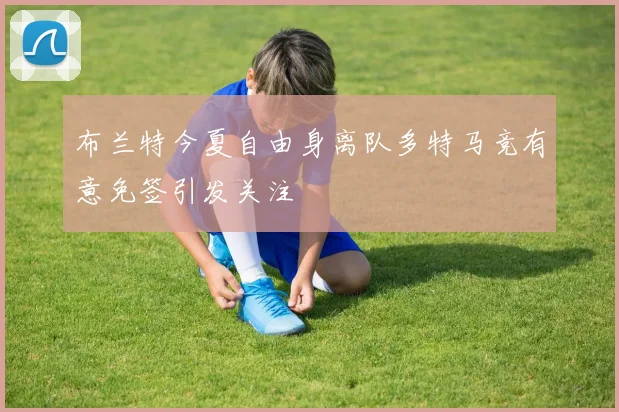 布兰特今夏自由身离队多特马竞有意免签引发关注